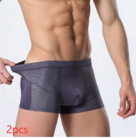 Ice silk men's underwear mesh boxer (Option: Gray 2pcs-L)